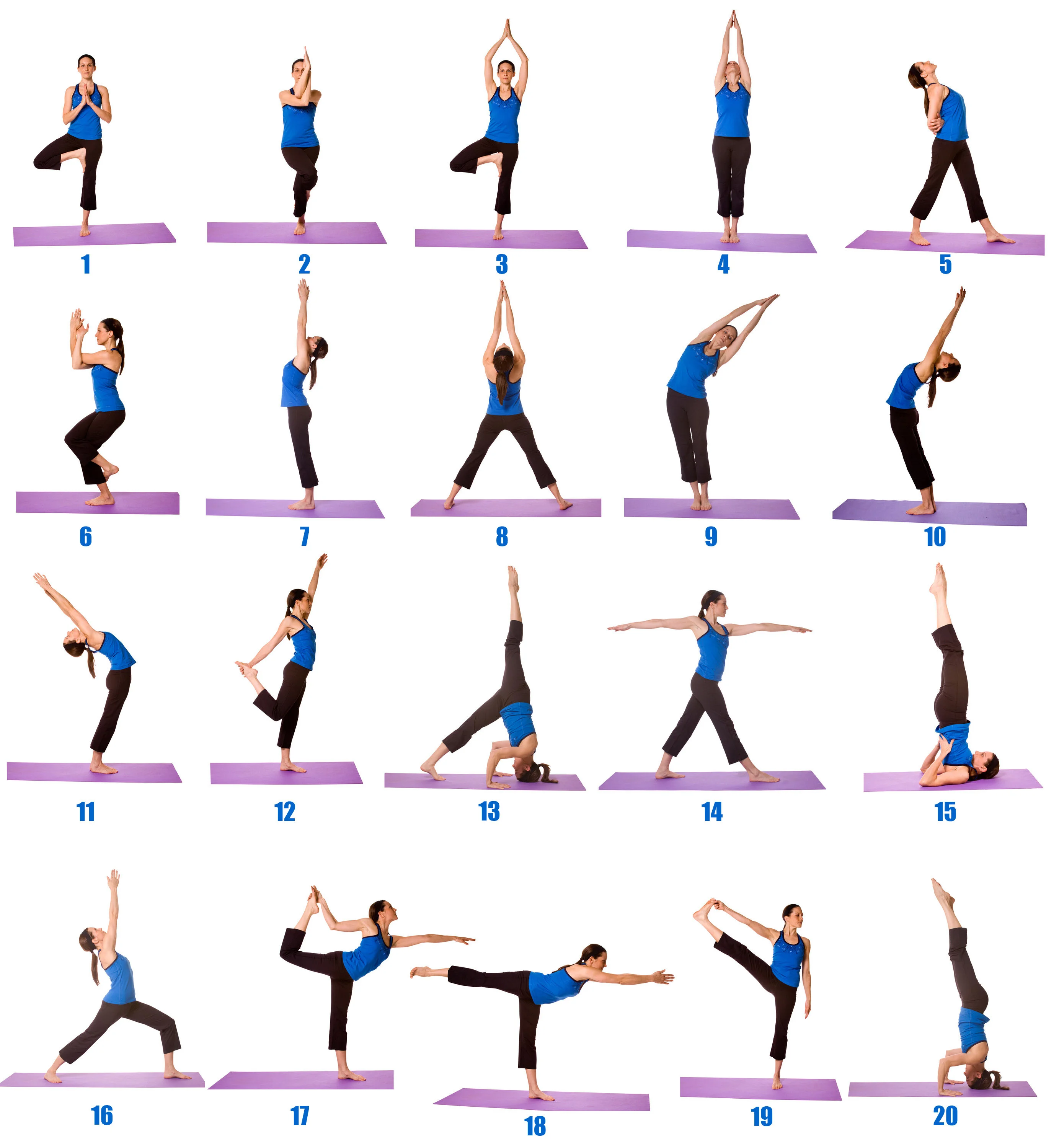 easy-yoga-poses-for-beginners-with-pictures.webp