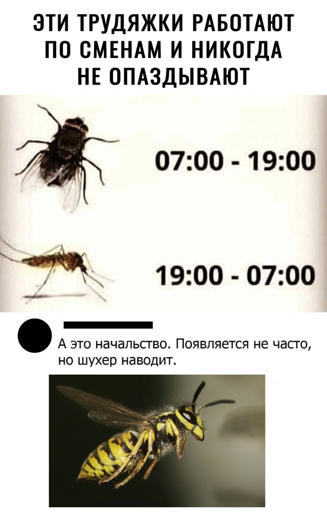 EBE4D17A44BE24B3.jpg