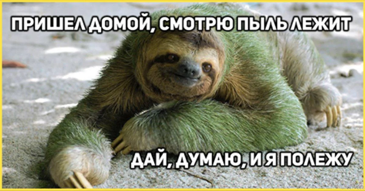 ECUYFcyWkAAaY7m.jpg large.webp