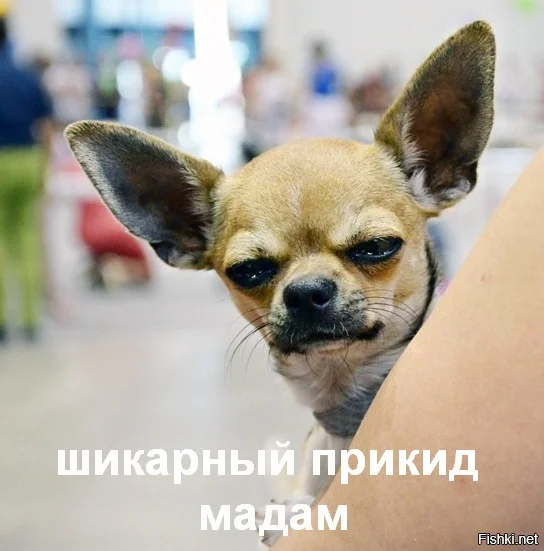 ed0c701c7dc4355c5cf6c796114cd2d5.webp