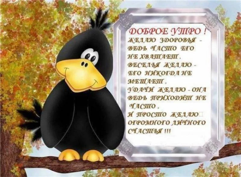 edb2f073e17aff98dd25162523cc7c81d9764f192620615ворона.webp