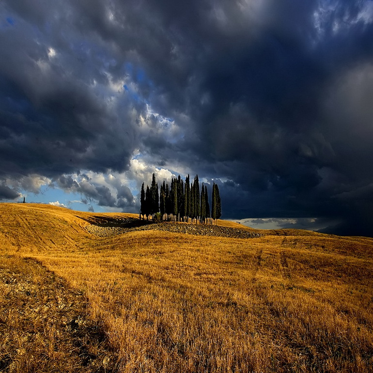 Edmondo Senatore,.jpg