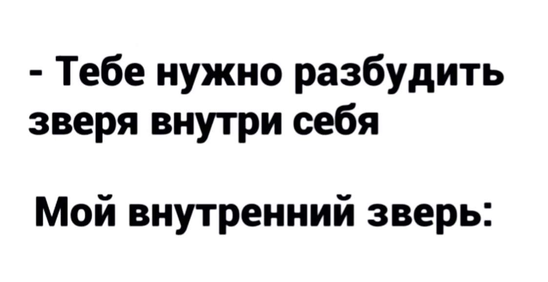 Efn-MQN2GX0.webp