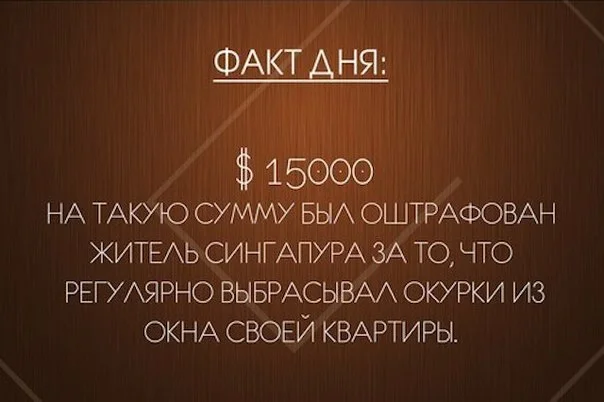 еге.webp