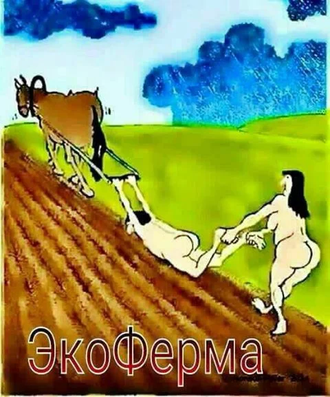 экоферма.webp