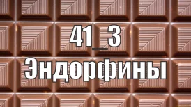 эндорфины.png