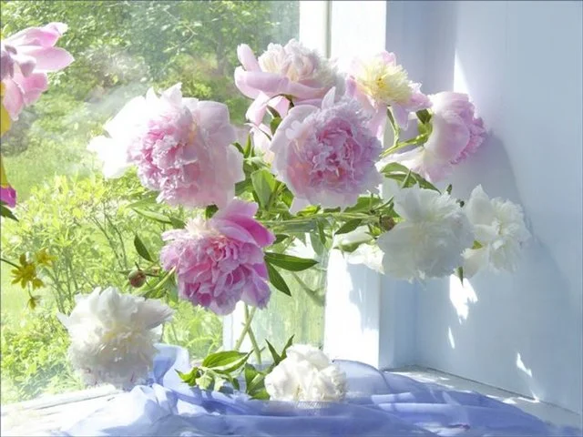 Энергия эмоций (3).webp