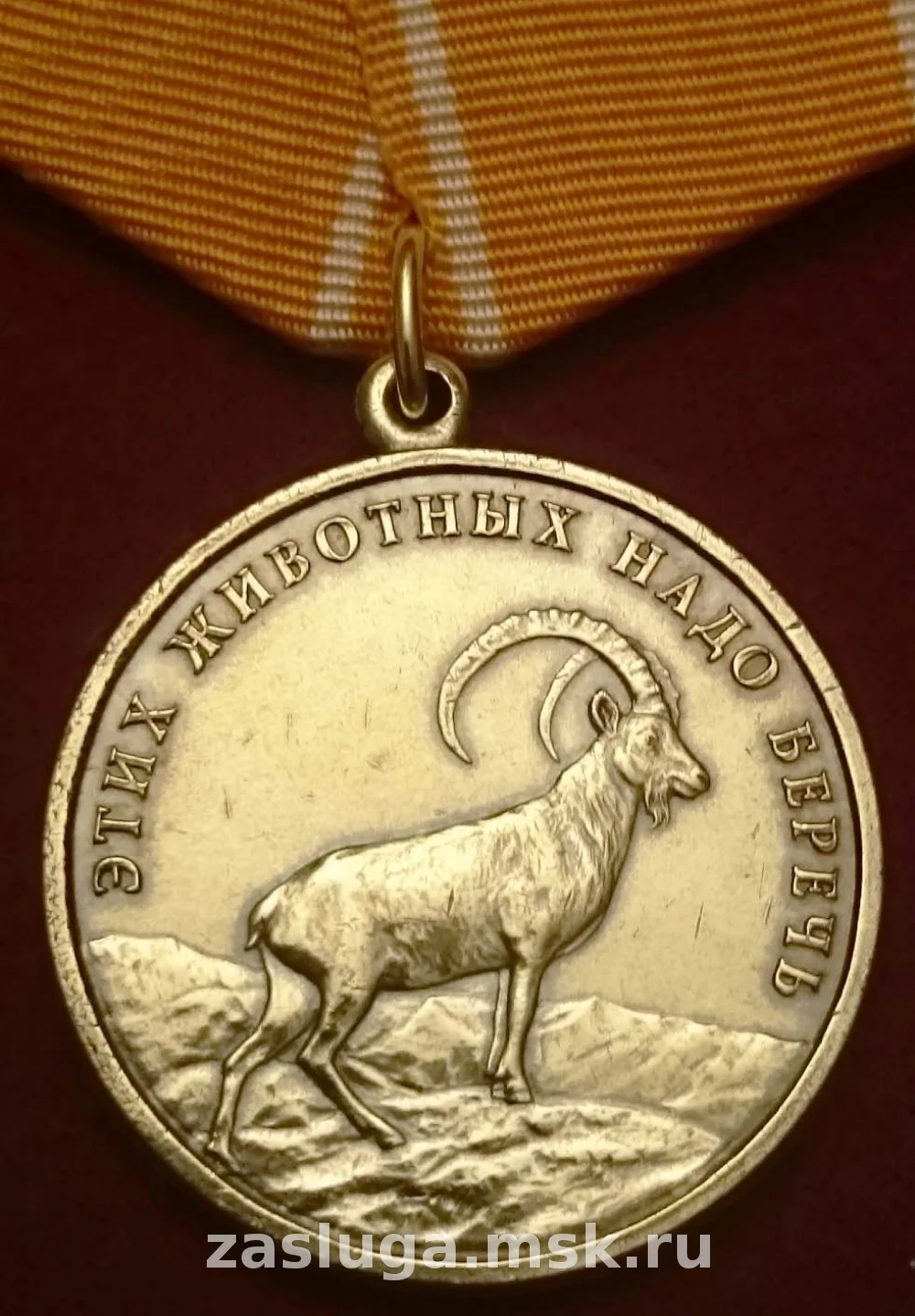 ЭТИХ ЖИВОТНЫХ НАДО БЕРЕЧЬ_ec9be7.webp