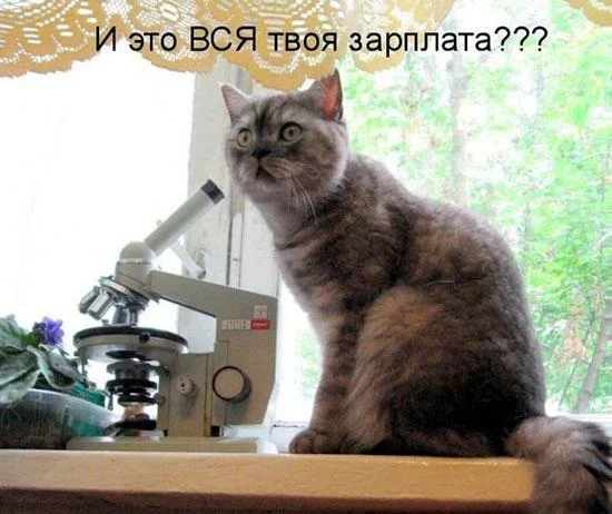 EHto-i-est-vsya-tvoya-zarplata.webp