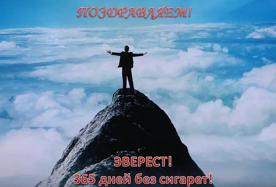 Эверест1.webp
