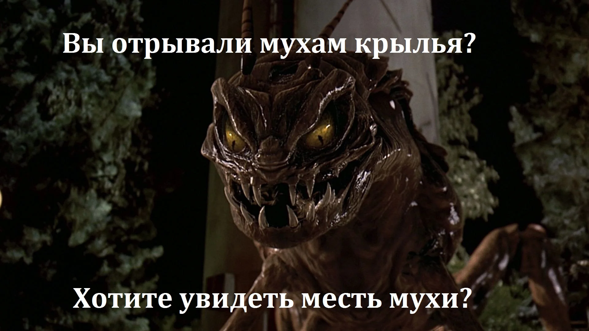 ei4mamTMsWw2Qq0B5nus5TeJEDd (1).webp