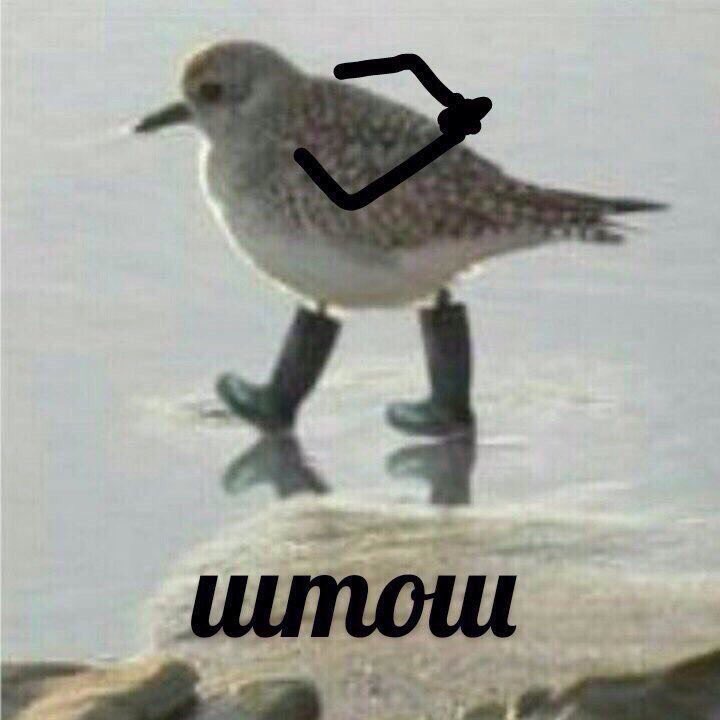 EioqMxpXkAAPykF (1).jpg