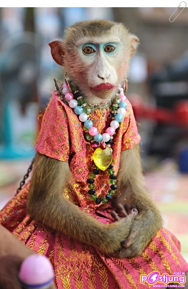 EKKBECWX0AU1NuT (1).jpg