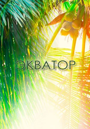 ekvator.webp