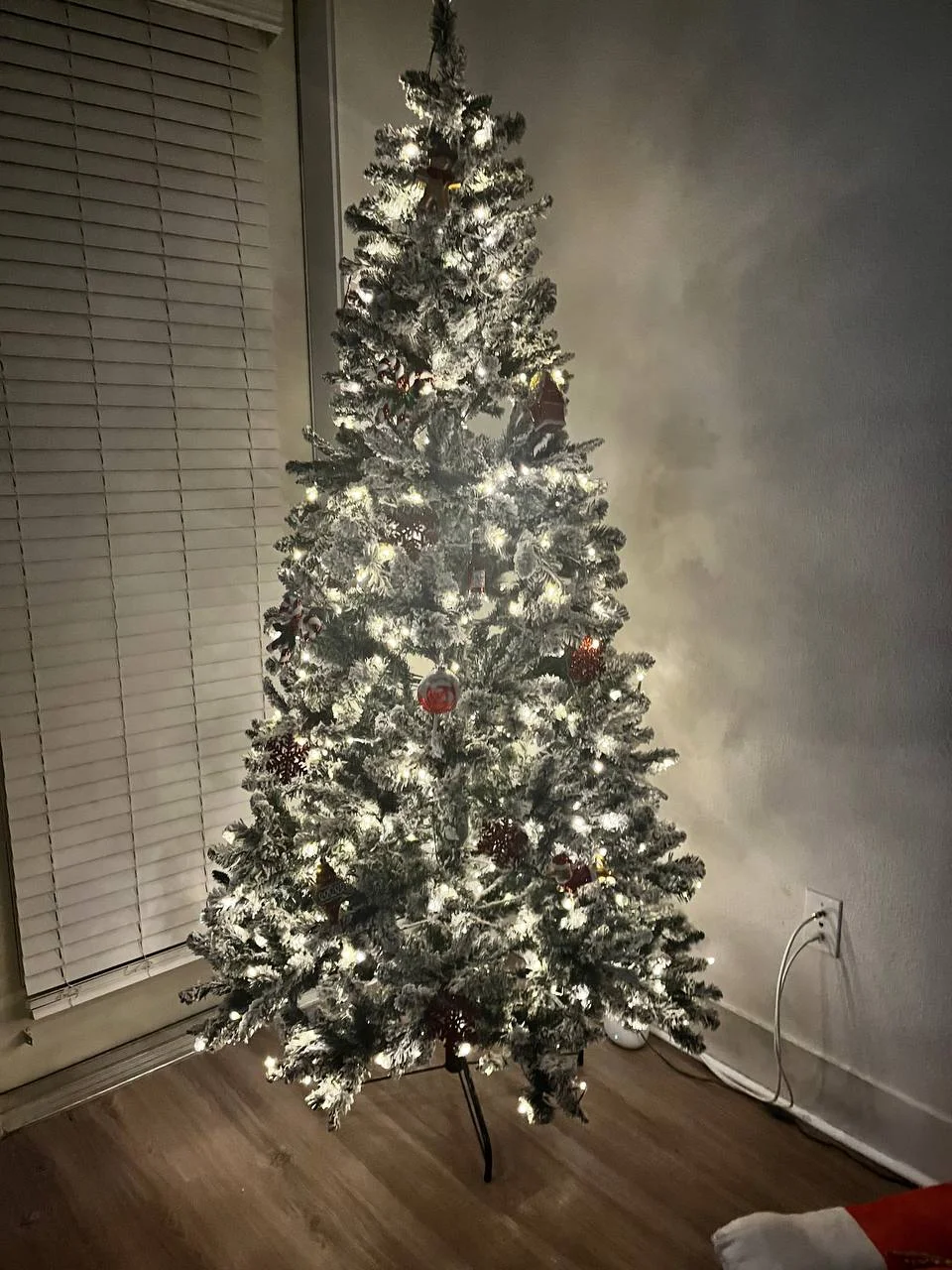 ель04 05.54.25.webp