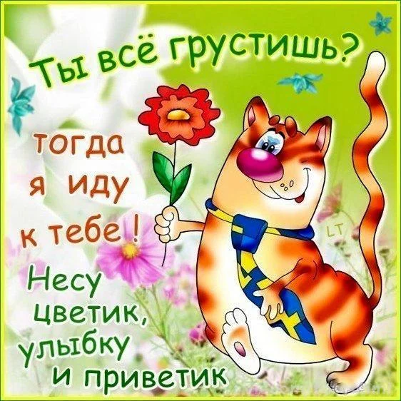 ELbZJfT6938.webp