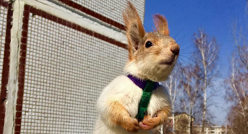 Елена Ермакова 7.webp