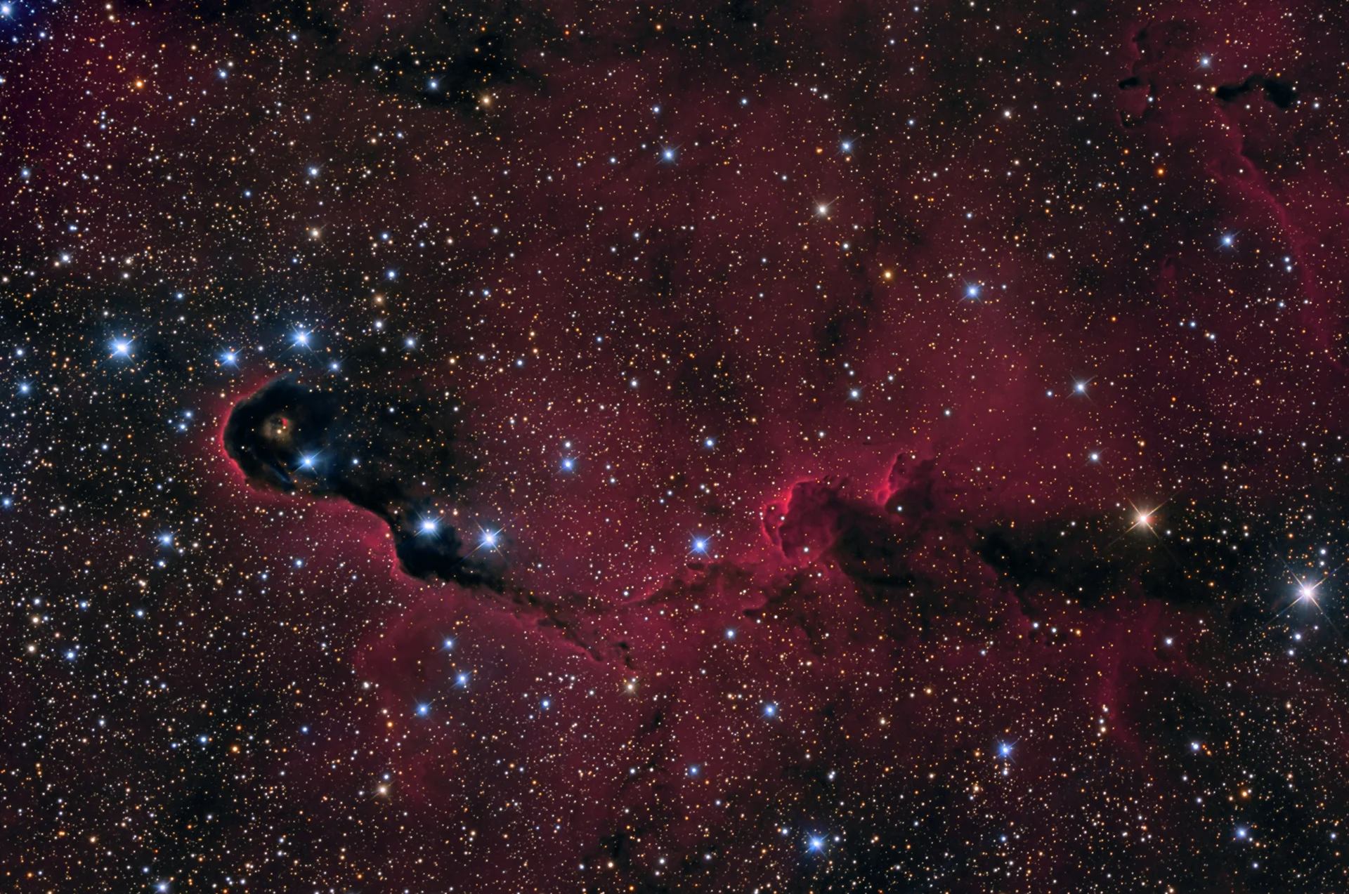 elephant-s-trunk-nebula.webp
