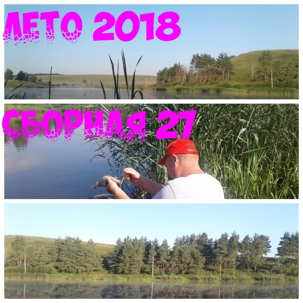 елф коллаж.webp