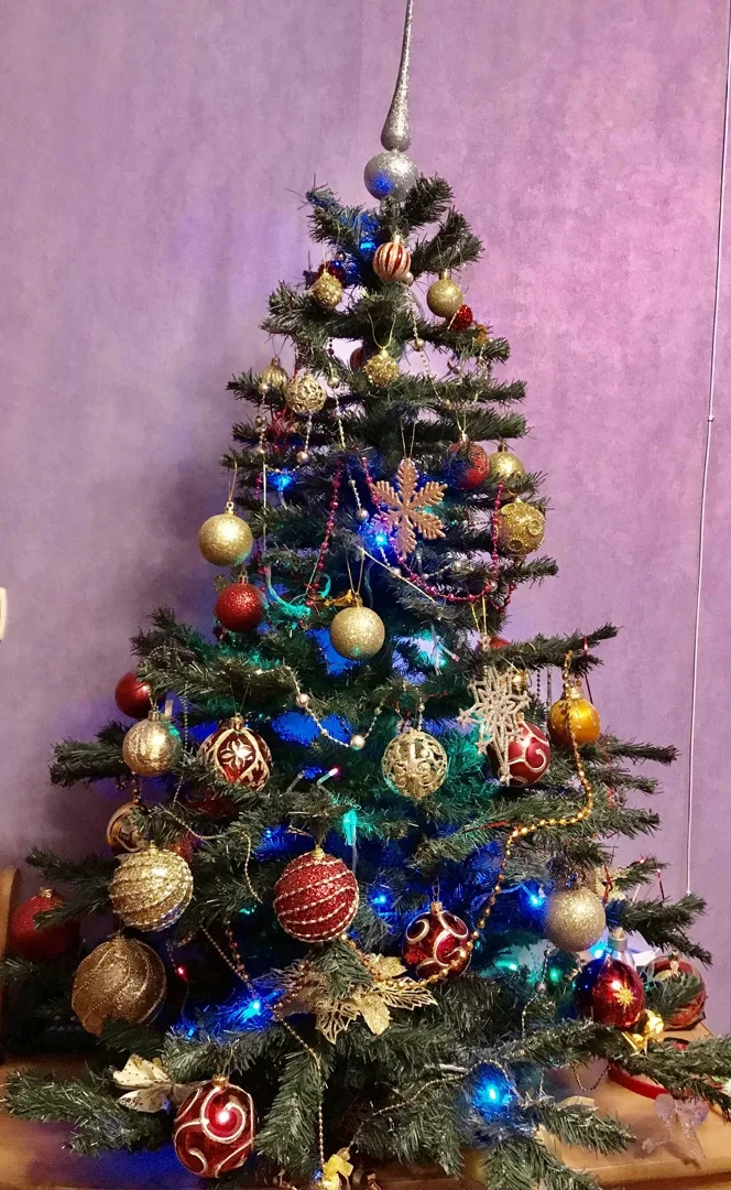 ёлка для форума 2.webp