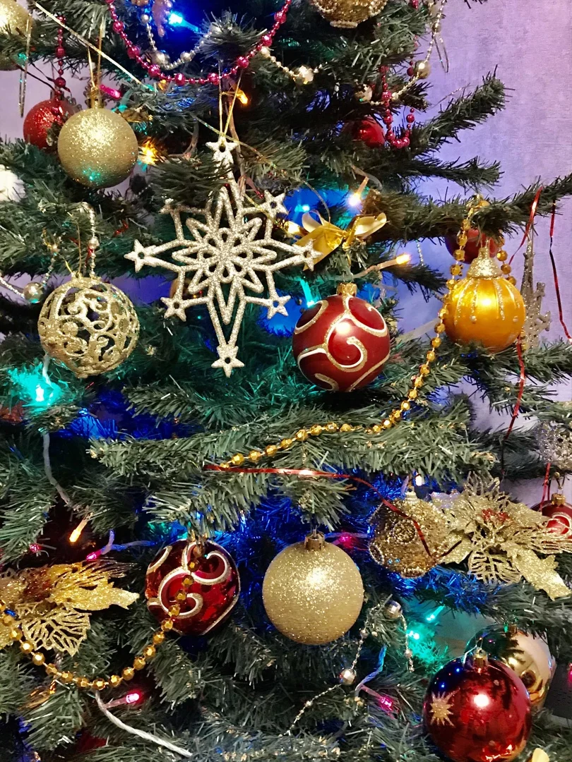 ёлка для форума.webp