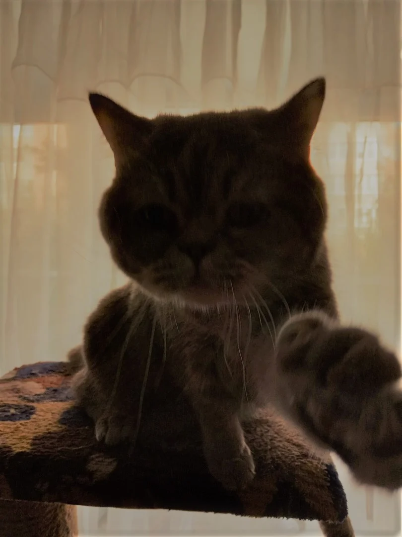 ers8YJ9ArtM (2).webp