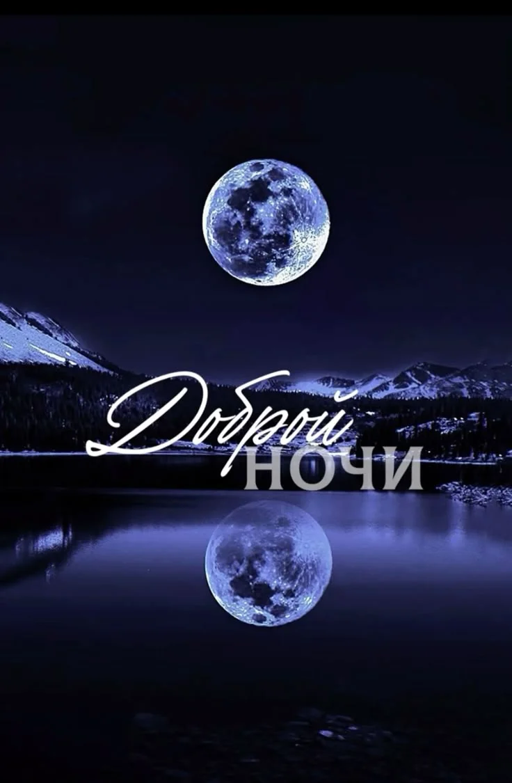 Еще больше  видео для вашего творчества  на телеграмм канале по ссылке в профиле!.webp