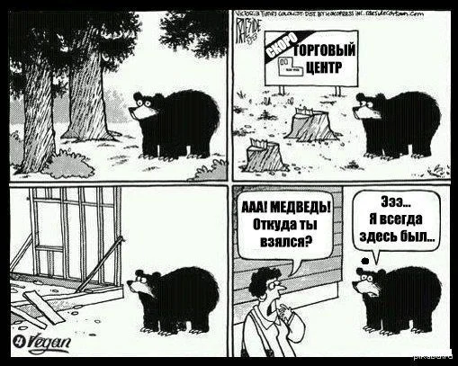 еще один медведь.webp