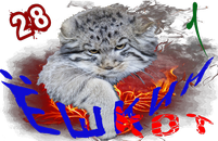 Ёшкин котКом1.png