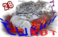 Ёшкин котКом2.webp