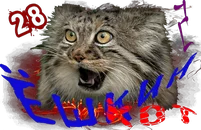 Ёшкин котКом2_1.webp