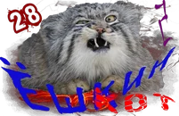 Ёшкин котКом2_2.webp