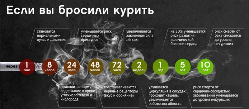 esli-brosil-kurit.webp