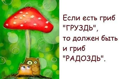 Если есть гриб груздь_284.webp