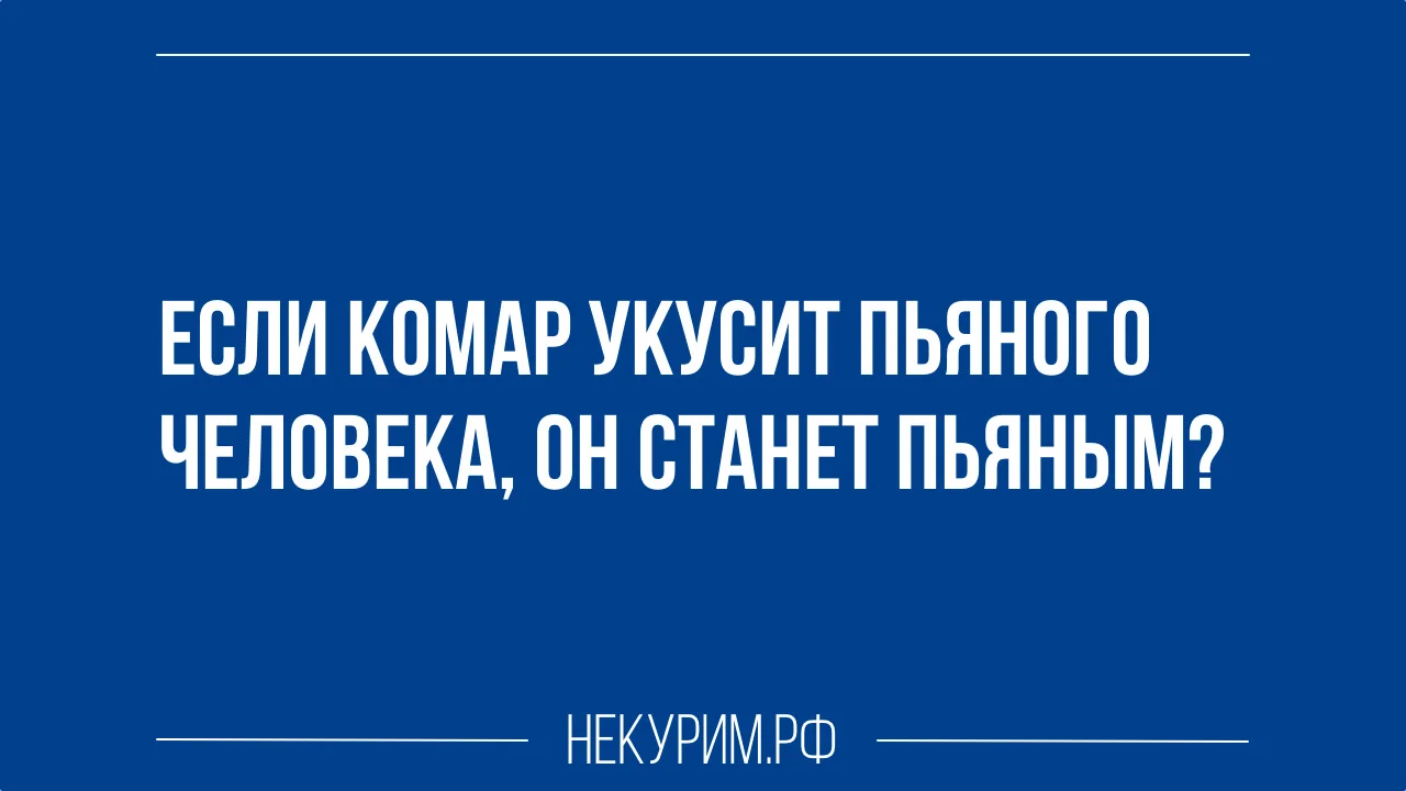 если комар укусит пьяного человека он станет пьяным.webp