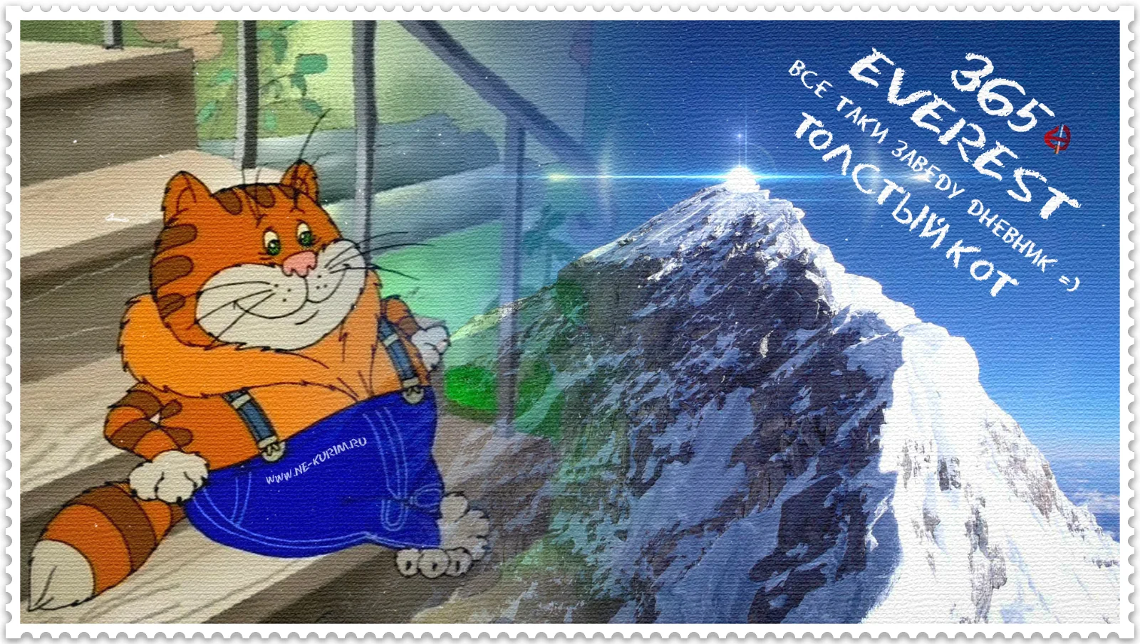 everest fat cat365.webp