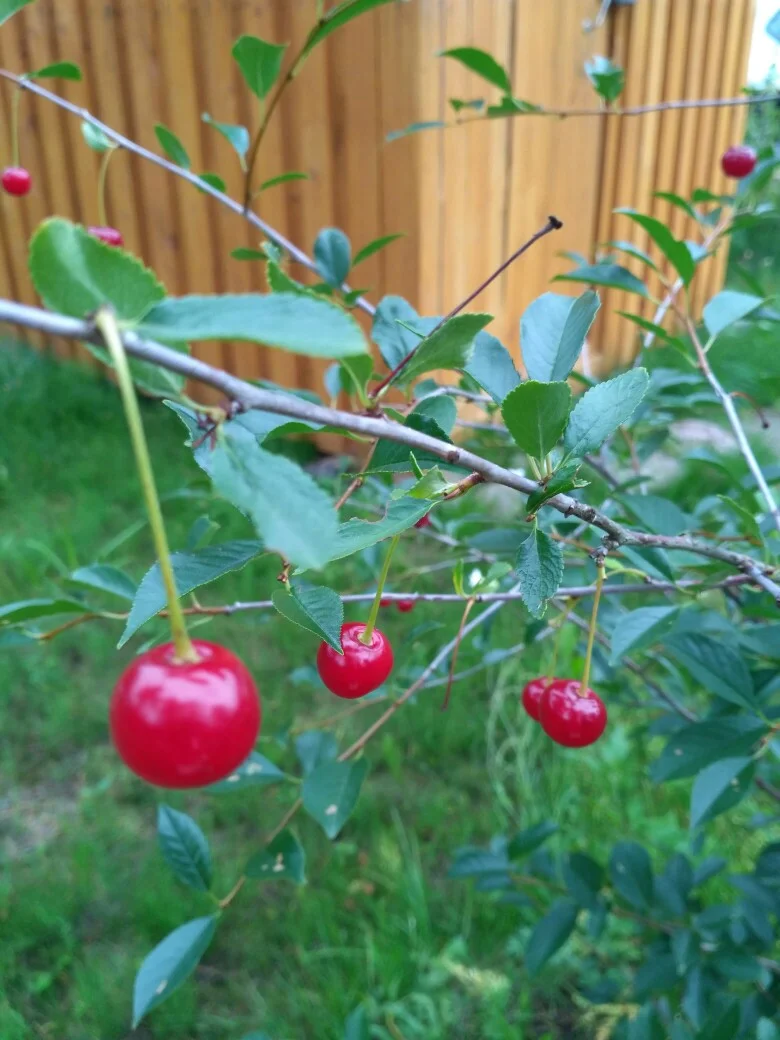 eWA_spIJzoo.webp eWA_spIJzoo.webp