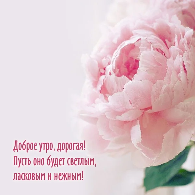 ewalls_ru_12123.webp