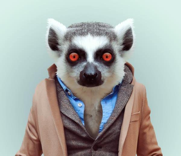 Exotic-Zoo-Animals-Amusingly-Dressed-Like-Humans-Zoo-Portraits-By-Yago-Partal-1[1].jpg