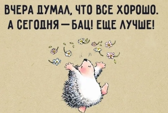 ежики).webp