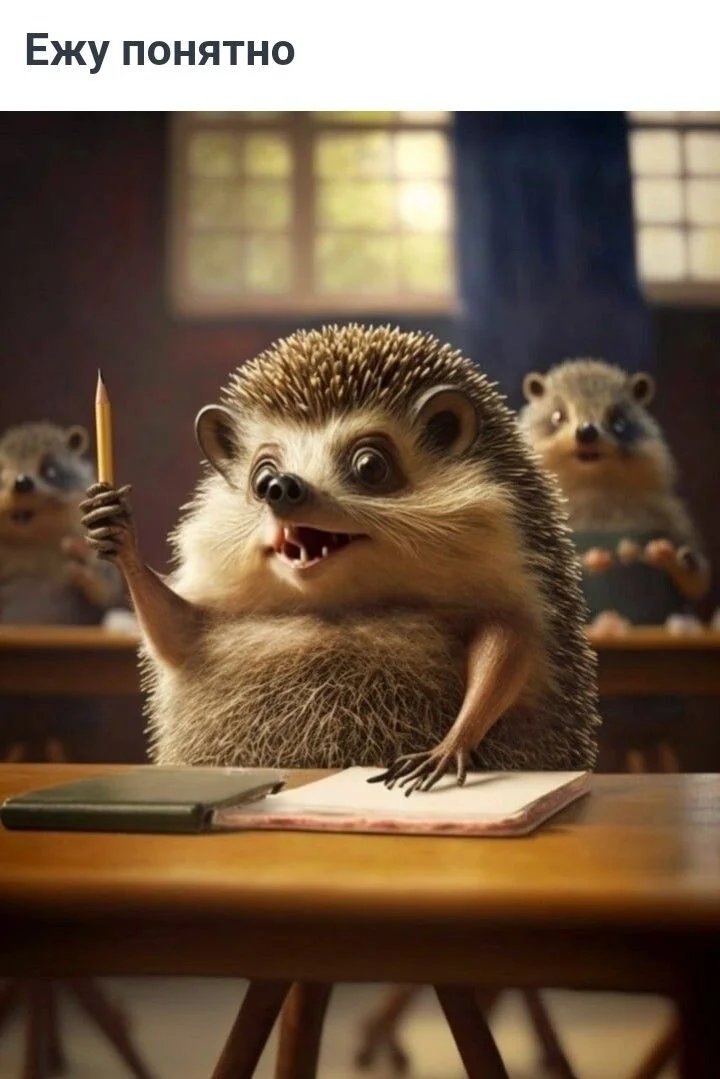 ежу понятно.webp