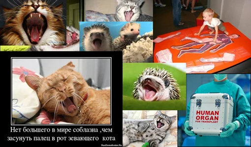 f02fa5f1d8bb.webp