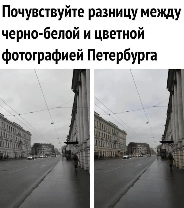 f04a47818ece2fe4cbff8b48512fb9a6.webp