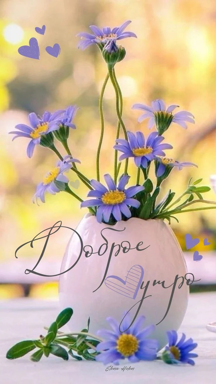 f221c03ca50ed75a77e658db5b384eee.webp