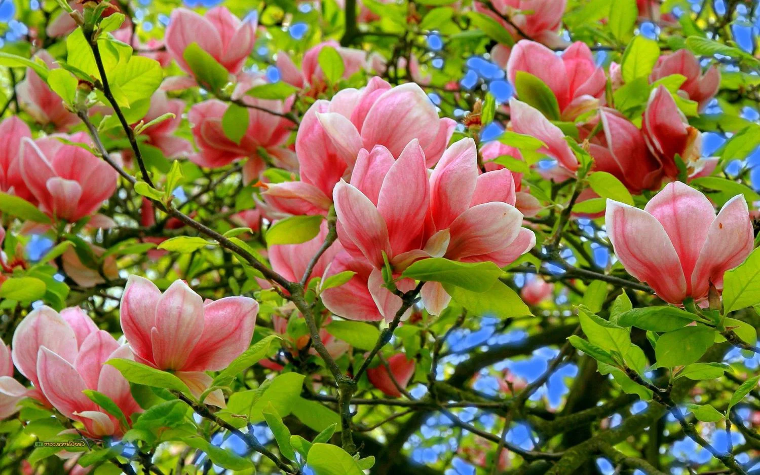 f3e13.webp