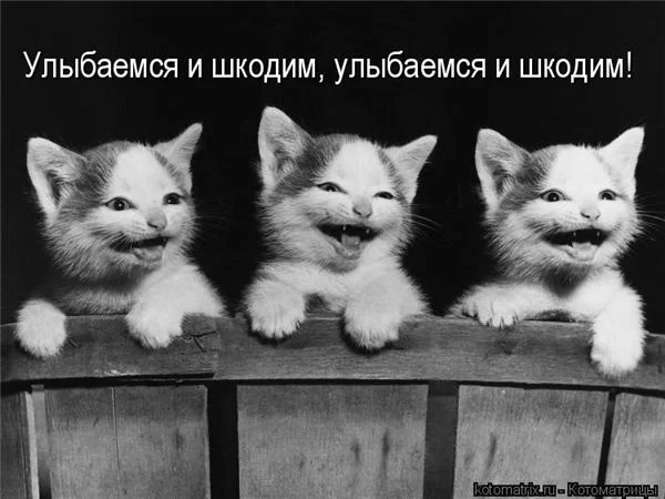 f43b3d830815t.webp