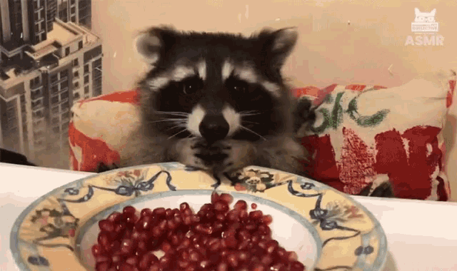 f4eb1fe02e64bc7a72f1e90881ba7b48.gif