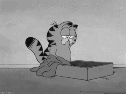 F4F754C0-98B1-4529-B3FF-7CD37E03CB1E.gif