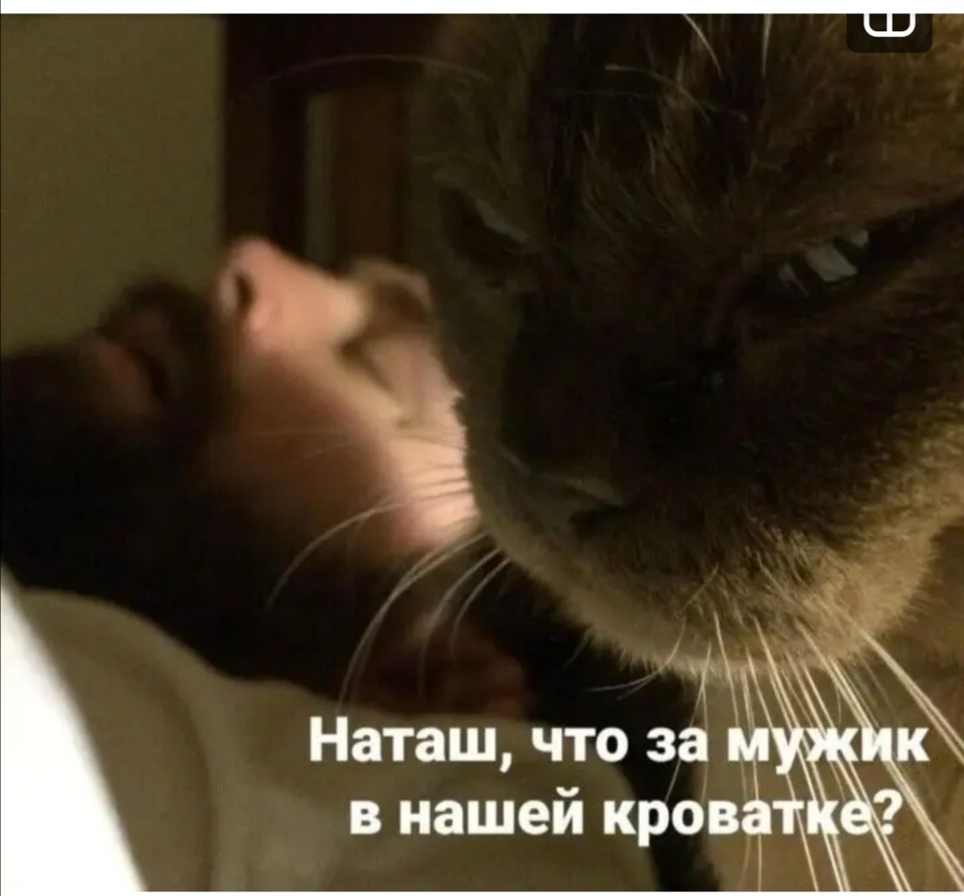 F5CFEB3E-308C-4A4A-96F2-800DE1FB7776.jpeg