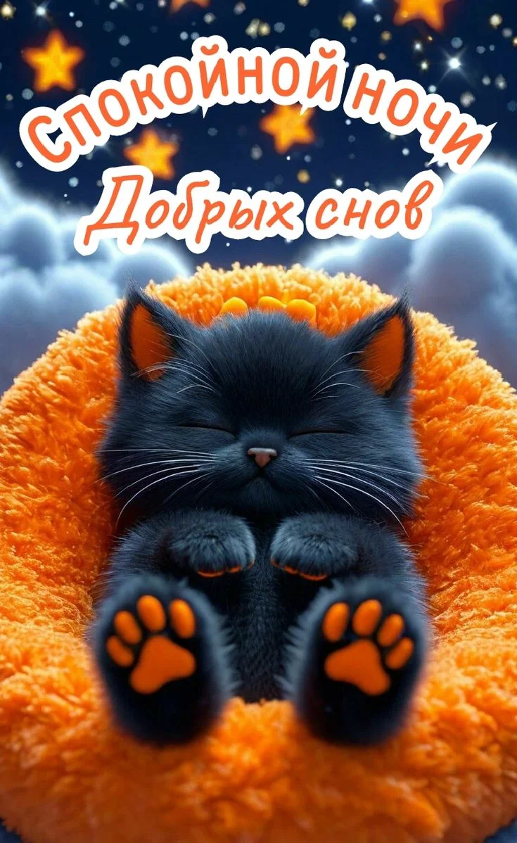 f7412eeb55451d66960eb5c7cafdc979.webp